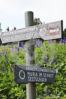 Walking trails, the Seltschacher Alm, Austria