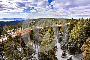 Walking through treetops