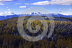 Walking through treetops - the view on slovenian mountain