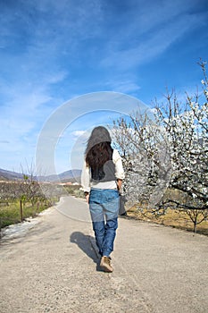 Walking at valley of jerte photo