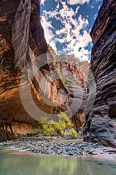 Walking in the Virgin river of Zion National Park