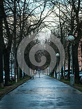 Walking on a walking path in a city park of Brno, surrounded by bare treetops in winter