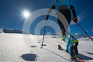 Walking with Walking with ski mountaineering with sealskins in