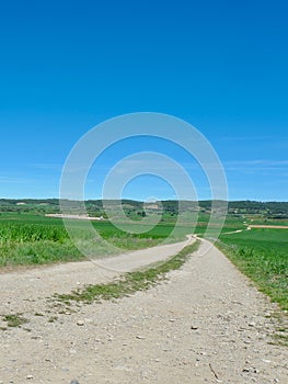 Walking way between farming fields at springtime in Spanish countryside. Background for story, vertical photo