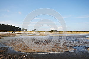 Walking through the Western Pomerania Lagoon Area National Park