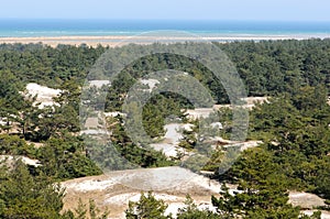 Walking through the Western Pomerania Lagoon Area National Park