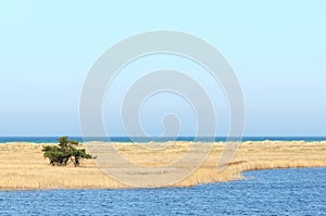 Walking through the Western Pomerania Lagoon Area National Park