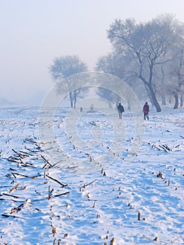 Walking in winter