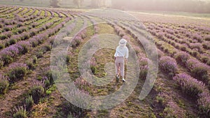 Walking women in the field of lavender. Romantic women in lavender fields, having vacations.