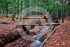 Walking wood bridge crosses over small creek in forest park during late fall with orange leaves covering ground