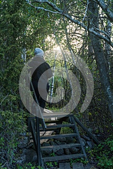 Walking on a wooden stile in  a forest by sunset