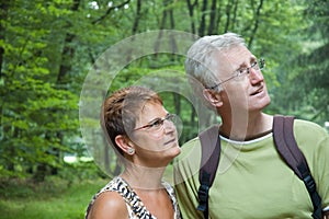 Walking in the woods