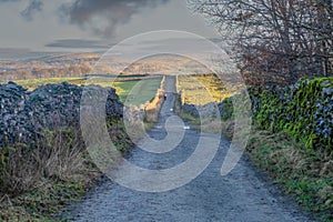 Walking in the Yorkshire Dales