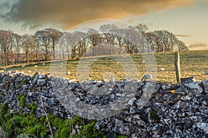 Walking in the Yorkshire Dales