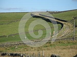 Walking on the yorkshire moors.