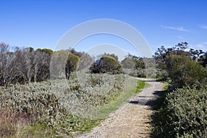 The walkpath along the Leschenault Estuary Bunbury Western Australia . photo