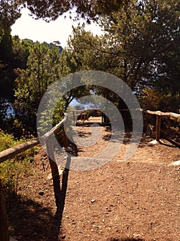 Walkpath in Elba island, Italy