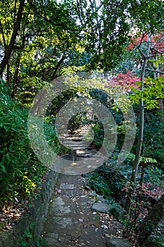 Walkpath and stone stairs in garden