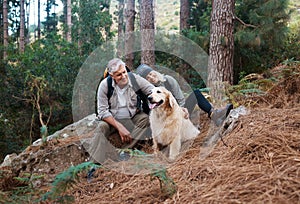 Walks are great for exercising but hiking o. a senior couple out hiking with their dog.