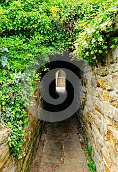 A walkthrough green passageway in the historic and mysterious town of Whitby.