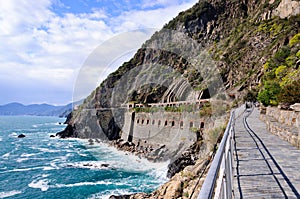 The walkway along the coastline, Via del Amore in the national park Cinque Terre