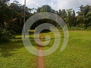 Walkway along natural lawns in Konkan India photo