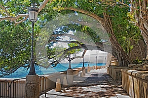 Edge of water, Paseo de la Princesa, Old San Juan, Puerto Rico photo