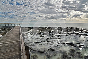 Walkway around Hamelin Pool Marine Nature Reserve. Gascoyne region. Western Australia