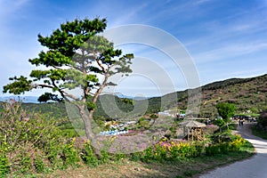 Walkway around the hillside in Hwangmaesan Country Park photo