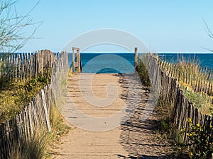 Walkway at the Beach