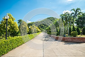 Walkway in beautiful tropical garden landscape in nature city park in summer season sunny day with blue sky white clouds.