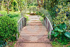 Walkway bridge sylvan