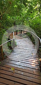 Walkway built with wooden planks and tree trunks in a forest. Botucatu, photo