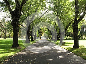 Walkway, Carlton Gardens, Melbourne, Australia