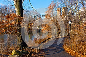 A walkway in Central Park in winter, New York, USA.