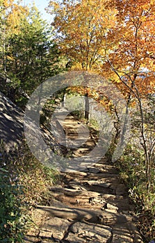 Walkway at Chimney Rock Park NC