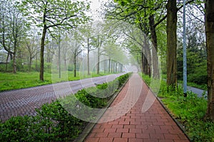 Walkway in the city cover with fog