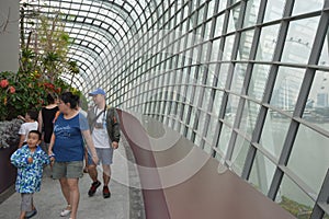 Walkway in Cloud Forest Dome,, Singarpore.