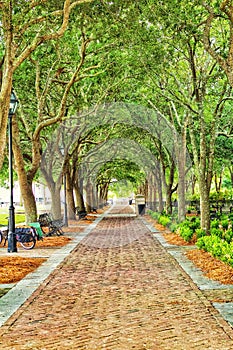 Walkway in downtown Charleston, South Carolina