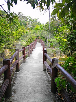 The walkway of Emerald Pool Krabi Sra Morakot, Crystal Pool.Th