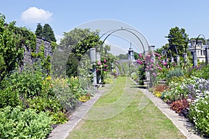 Walkway between flower beds, pink rose arch in english garden