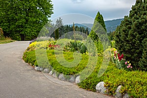 Walkway in flower garden in summer time. Colourful Flowerbeds in a good care maintenance landscapes and asfalt walkway