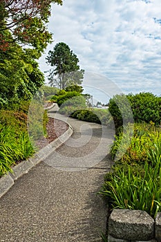 Walkway in flower garden in summer time. Detail of a botanical garden. Garden stone path with grass growing up along