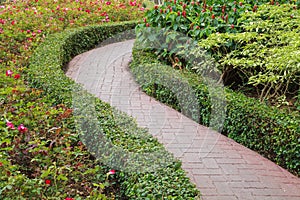 Walkway in the garden