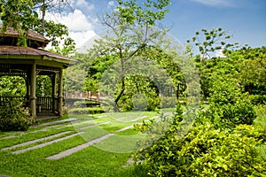 Walkway in the garden