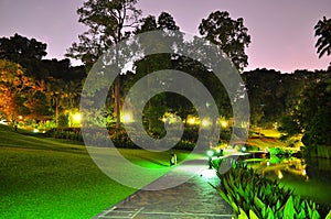 Walkway at a garden by night