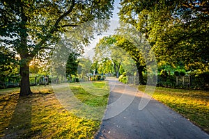 Walkway and gardens at sunset, at Back Bay Fens, in Boston, Mass photo