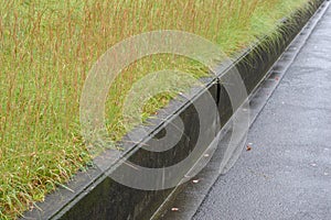 The walkway with grass in garden