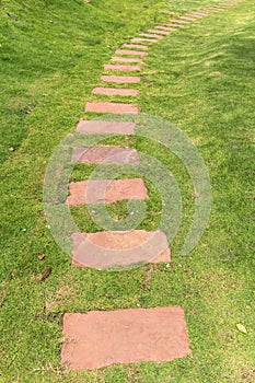 Walkway on the green grass