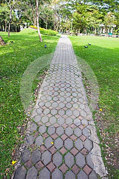 Walkway on green grassy